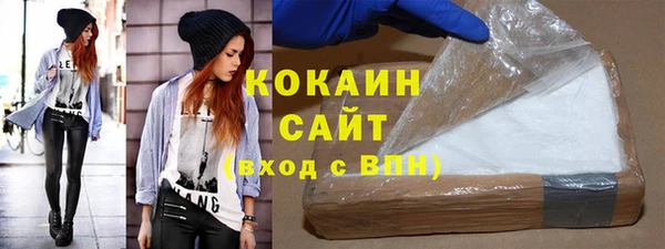 крисы Козельск