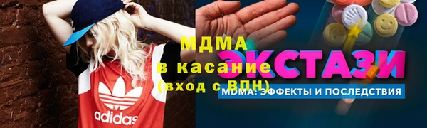 ГАЛЛЮЦИНОГЕННЫЕ ГРИБЫ Козловка