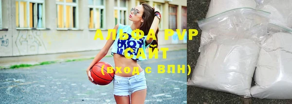 ГАЛЛЮЦИНОГЕННЫЕ ГРИБЫ Козловка