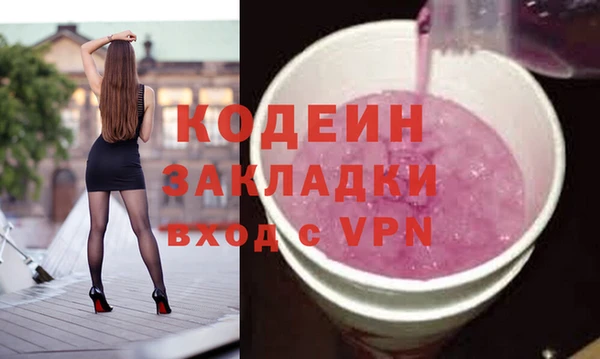 крисы Козельск