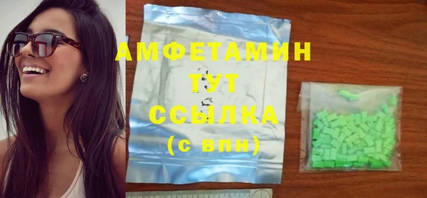 ГАЛЛЮЦИНОГЕННЫЕ ГРИБЫ Козловка