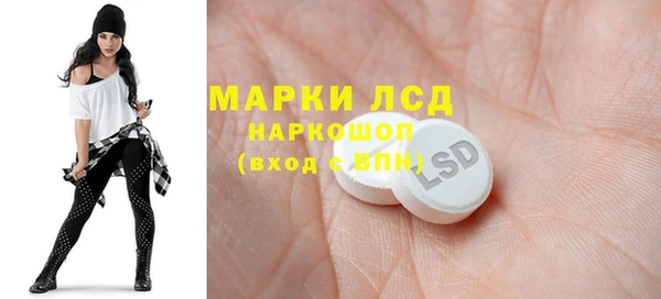ГАЛЛЮЦИНОГЕННЫЕ ГРИБЫ Козловка