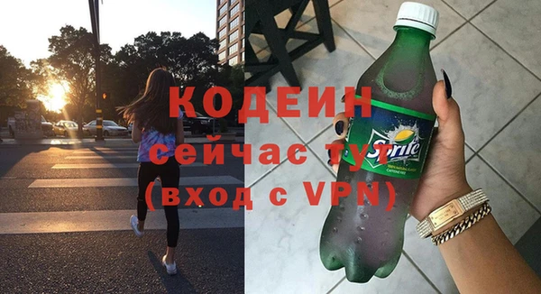 крисы Козельск