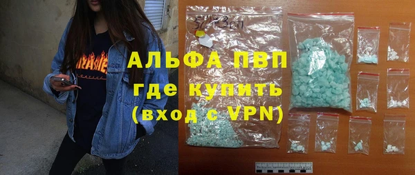 ГАЛЛЮЦИНОГЕННЫЕ ГРИБЫ Козловка