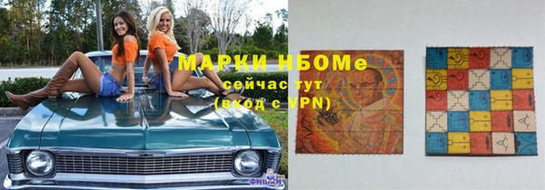 крисы Козельск