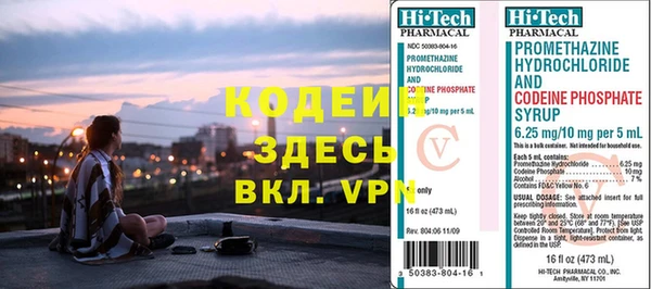 ГАЛЛЮЦИНОГЕННЫЕ ГРИБЫ Козловка