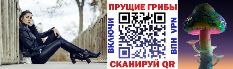 МЕГА как войти  хочу наркоту  Северодвинск  Псилоцибиновые грибы мухоморы 