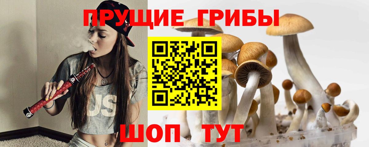 Псилоцибиновые грибы Psilocybine cubensis  Псилоцибиновые грибы прущие грибы  Северодвинск  Вход с VPN 