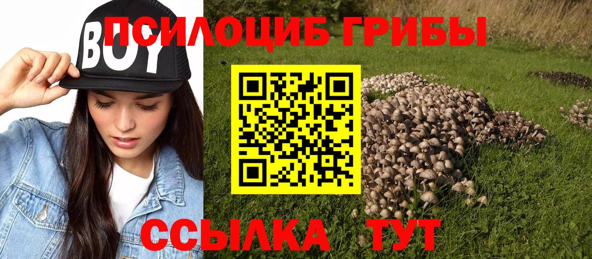 Галлюциногенные грибы Cubensis Северодвинск
